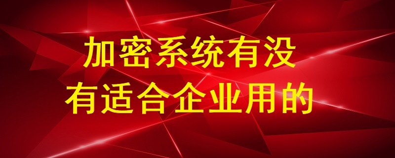 加密系統有沒有適合企業用的？